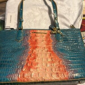 Brahmin medium Asher sundew ombré Melbourne purse